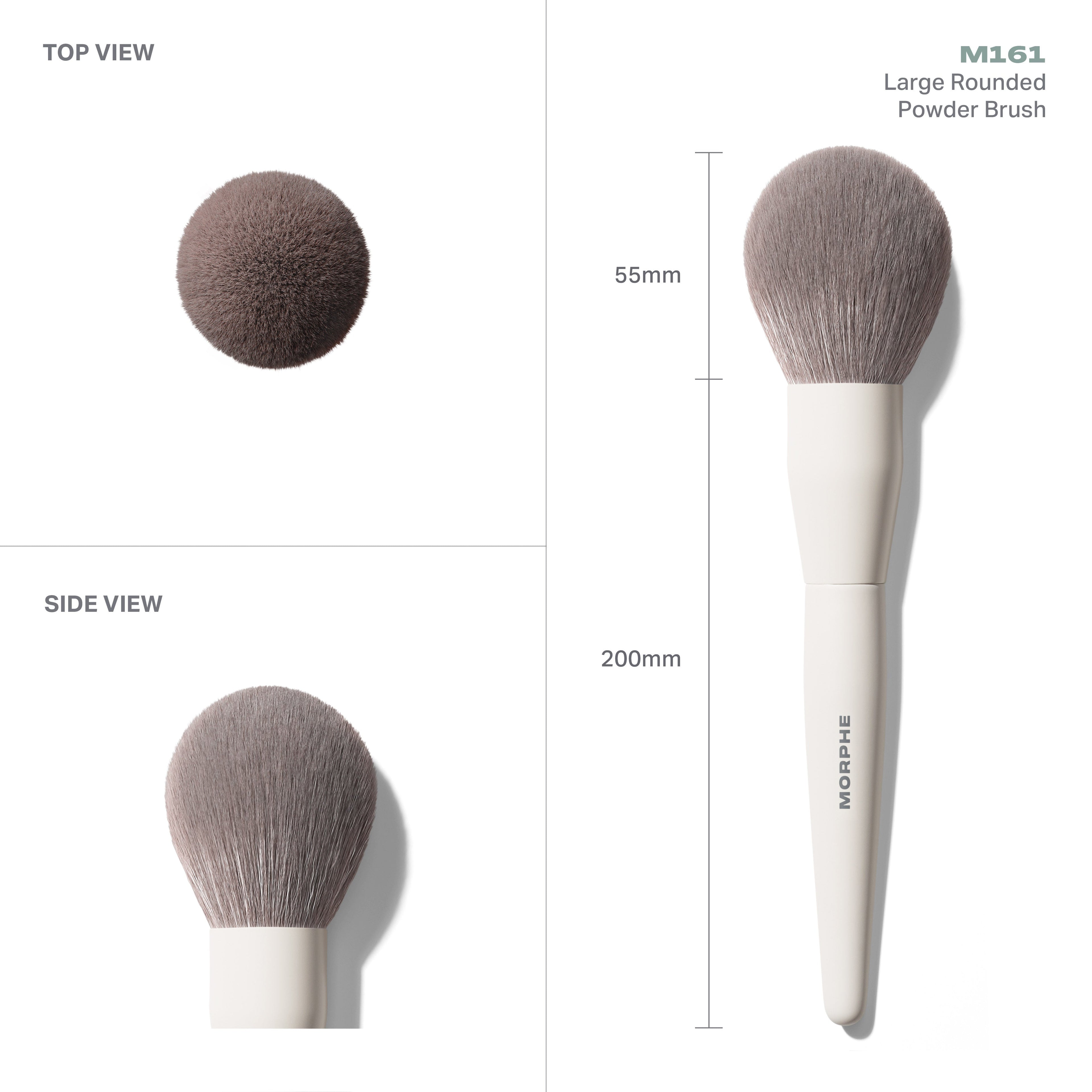 M161 Large Rounded Powder Brush