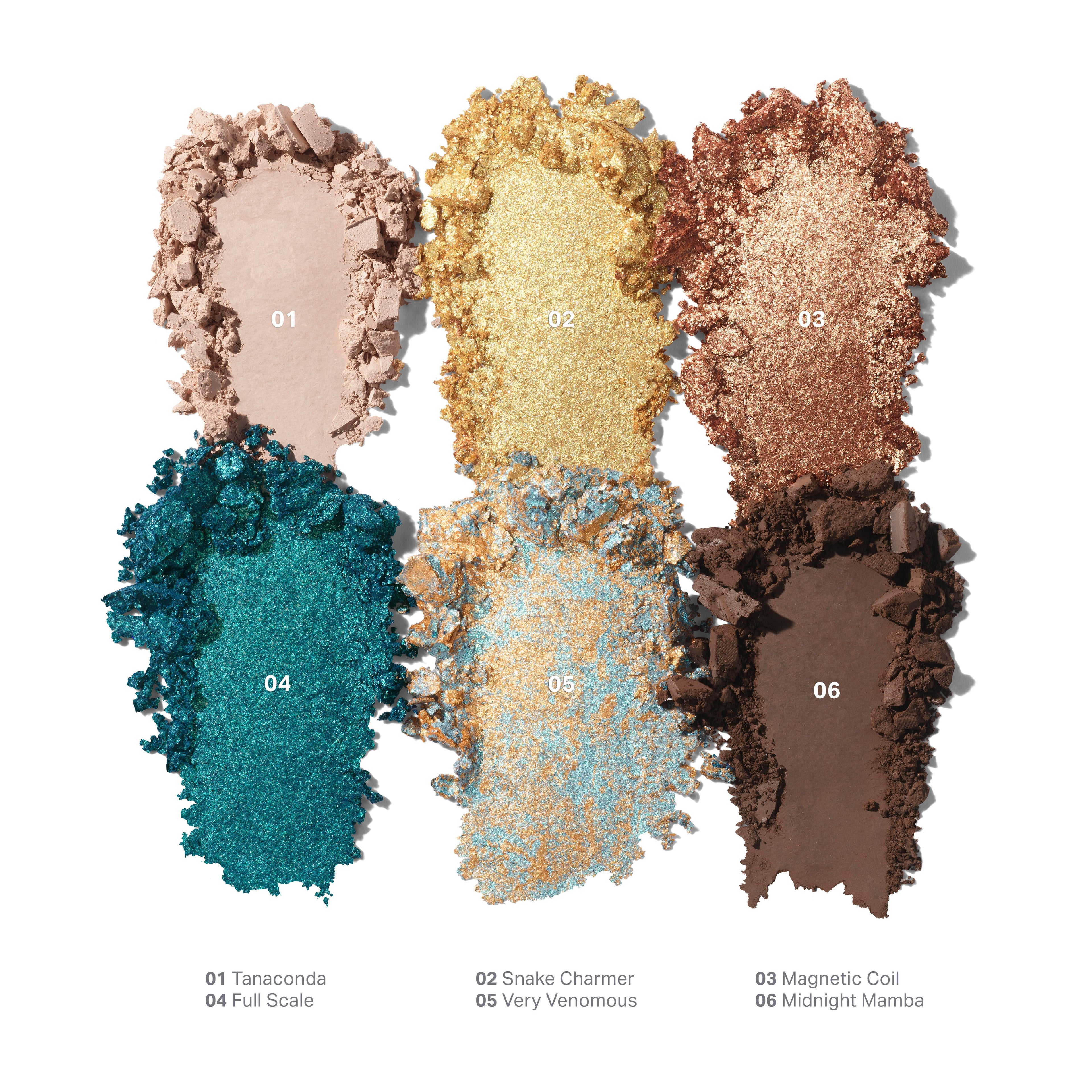 ChromaPlus 6-Pan Eyeshadow Palette