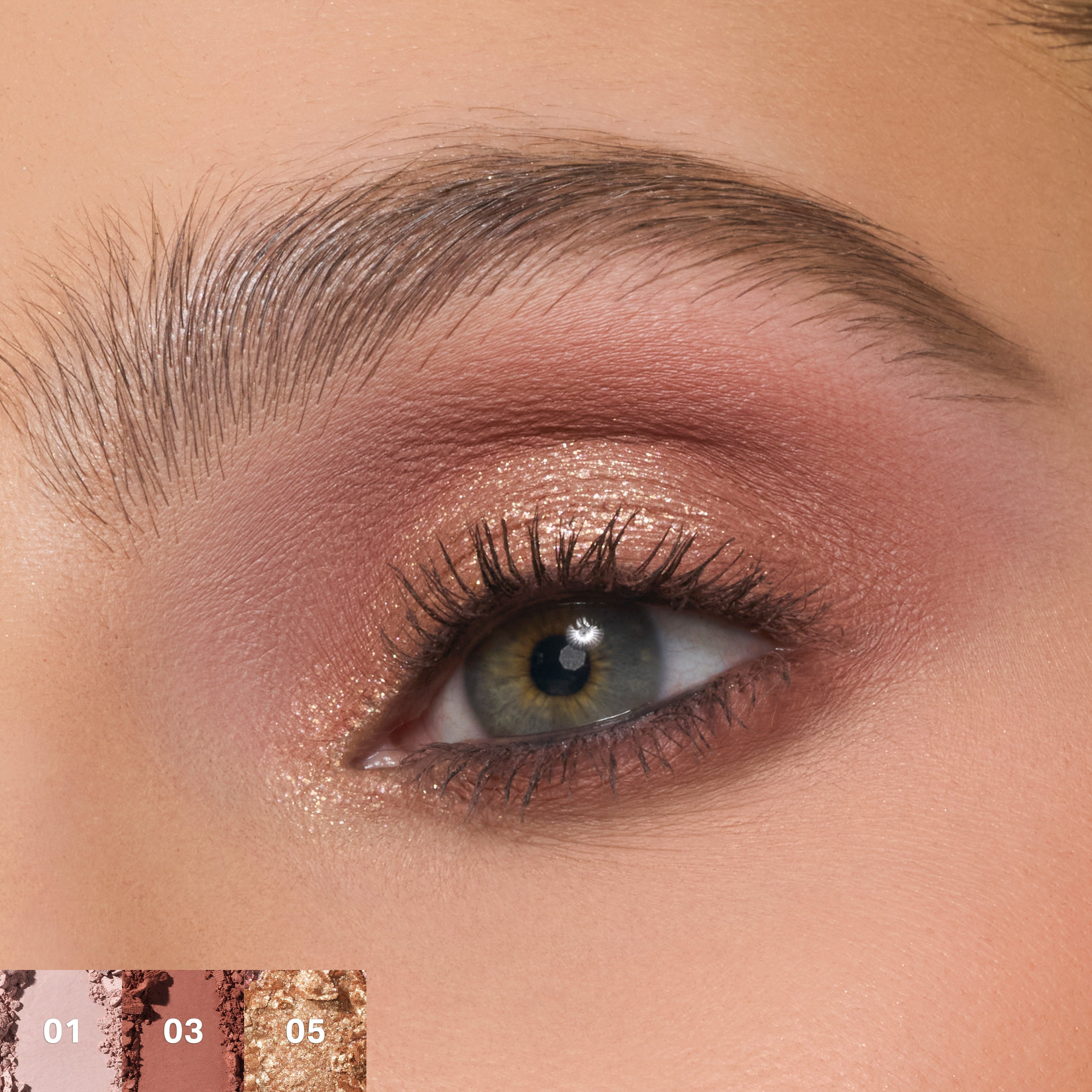 ChromaPlus 6-Pan Eyeshadow Palette